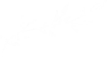 alecrim-vectors-rosmarinus-1-12